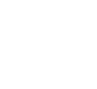 Vision